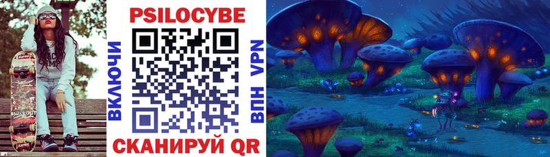 OMG вход  Александровское  Псилоцибиновые грибы мицелий  наркошоп 